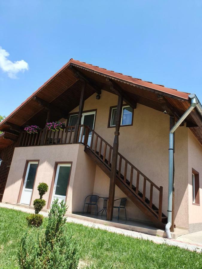 Cabana Sarmis Costesti Εξωτερικό φωτογραφία